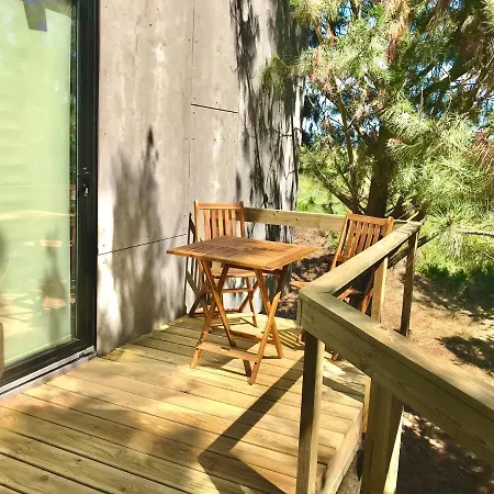 Desertas And Sport Costa Nova