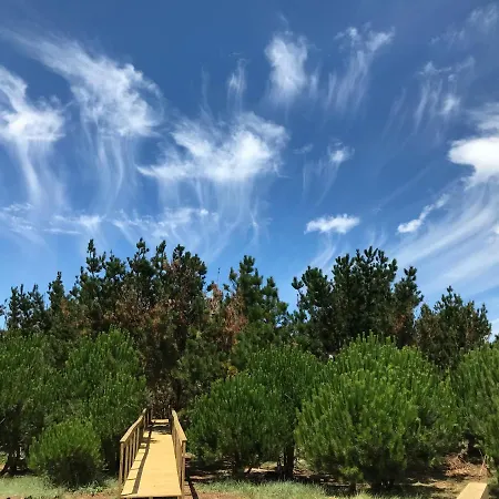 Desertas And Sport Nyaraló