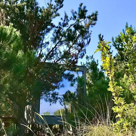 Desertas And Sport Nyaraló