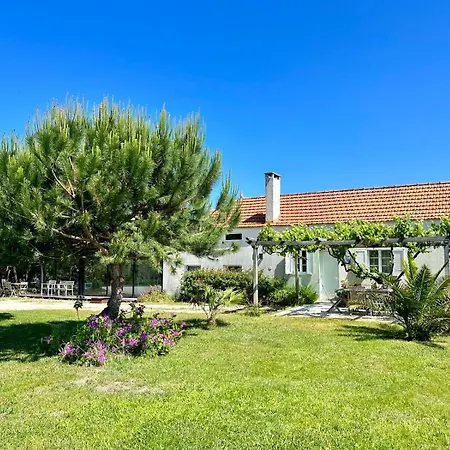 Desertas And Sport *