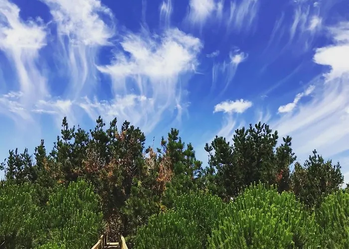 Desertas And Sport Dom wakacyjny *