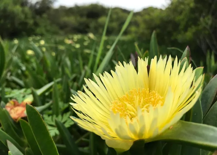 Desertas And Sport * 코스타노바