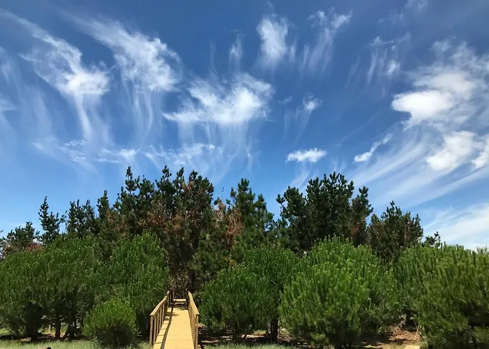 Desertas And Sport 펜션