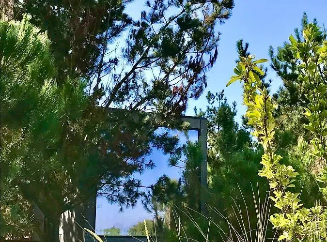 Desertas And Sport 펜션