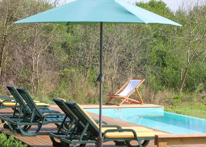 Desertas And Sport Costa Nova