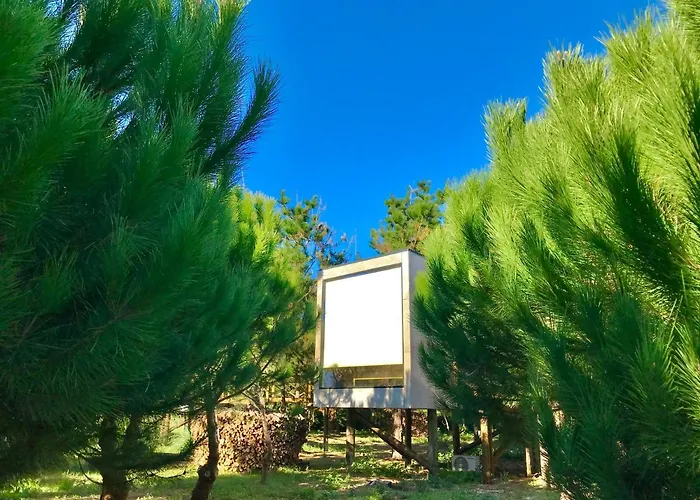 Desertas And Sport *